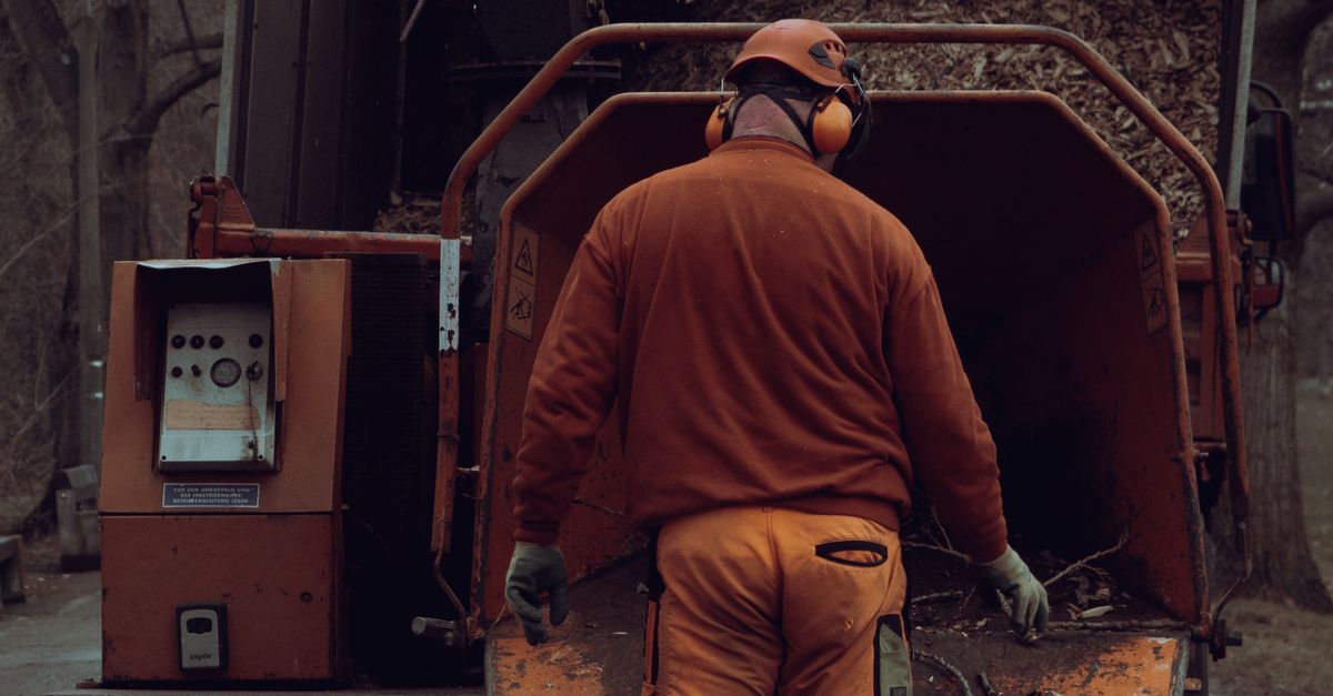 Comparing DIY Stump Grinding to Professional Services