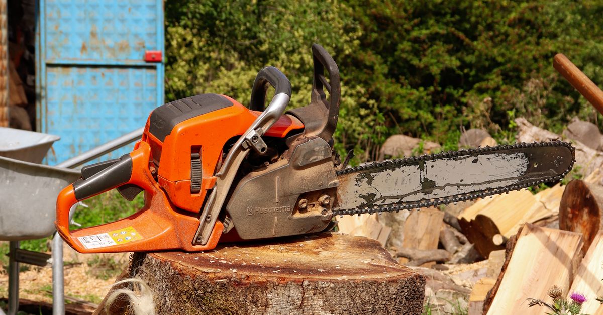 Environmental Benefits of Tree Replacement in Urban Settings