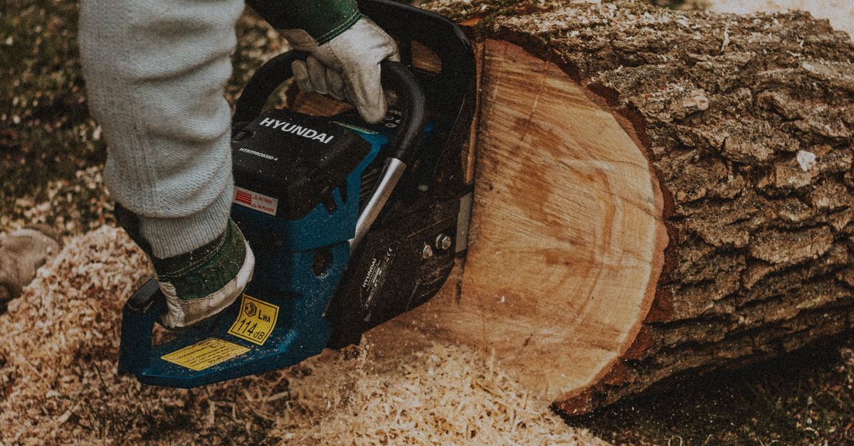 Equipment and Techniques Used in Construction Tree Removal