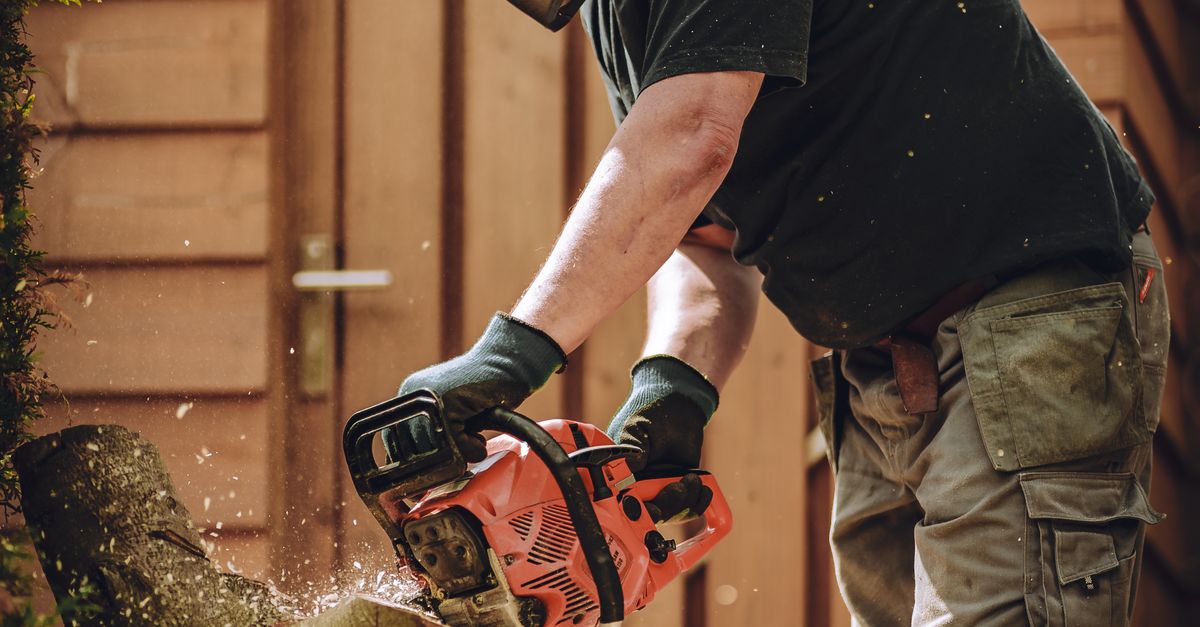 Exploring the Relationship Between Tree Canopy and Stormwater Management
