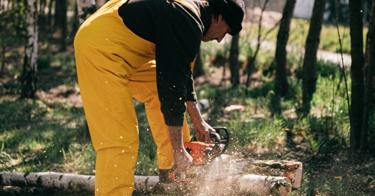 The Role of Mulching in Tree Preservation