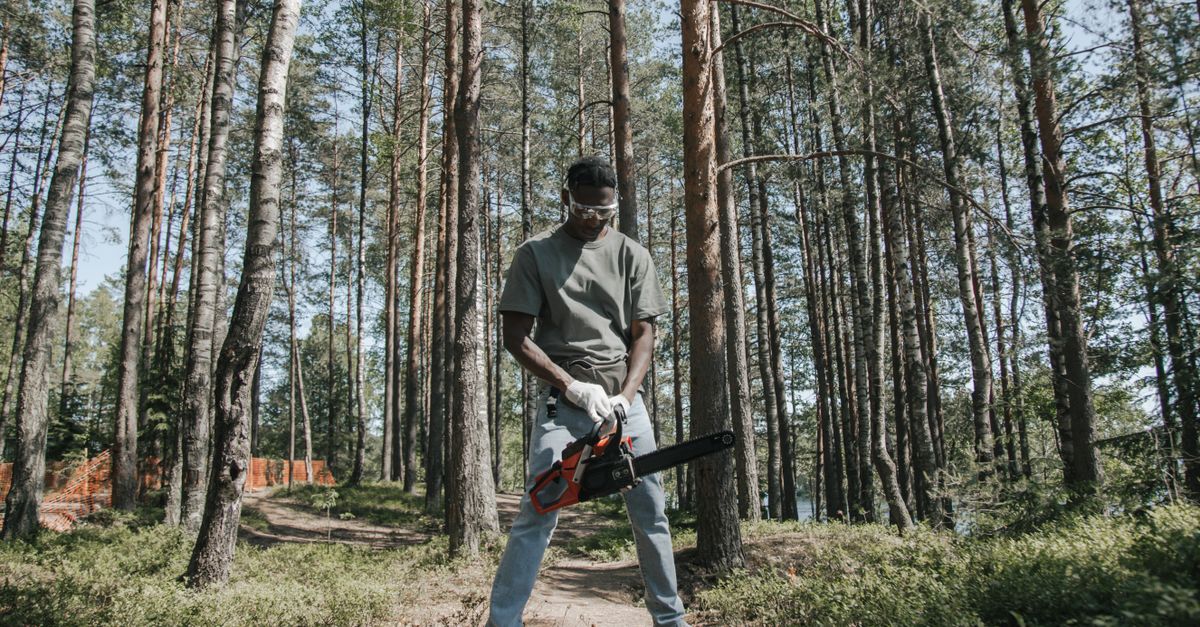 Top Stump Grinding Equipment for Residential Use