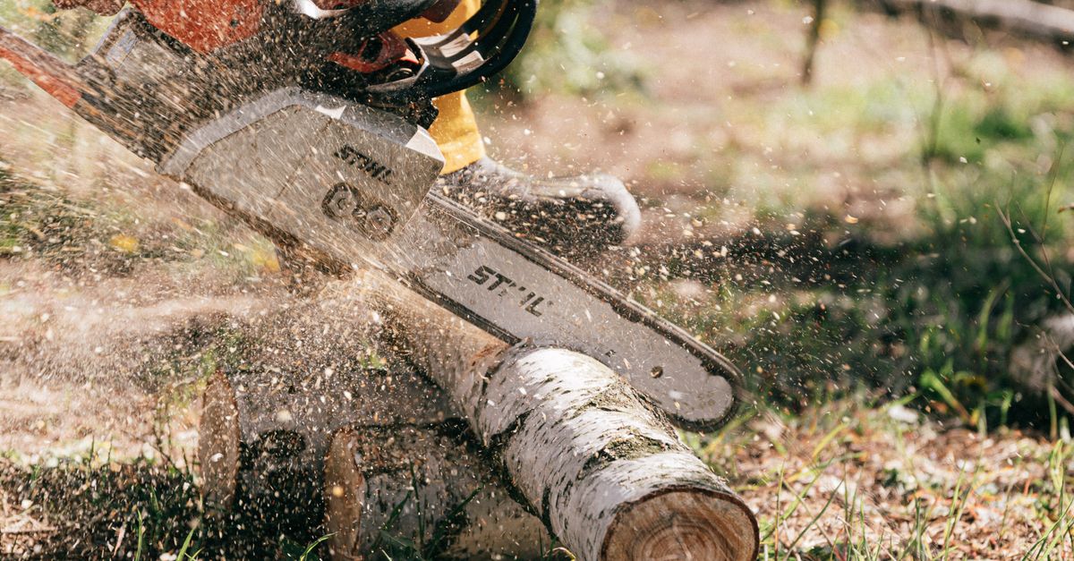 Urgent Response Protocols for Emergency Tree Services in Melbourne