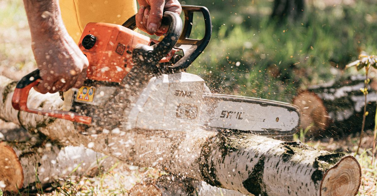 When to Call in Professionals for Dangerous Tree Removal